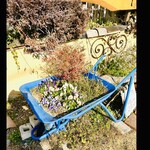 さかなや 一千 - さかなや一千　byまみこまみこ