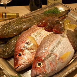 Fresh fish delivered from the Seto Inland Sea