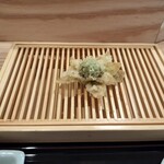 天ぷら上村 - タラの芽