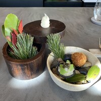 セリュー - 