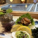 魚将　さかなちゃん - 