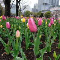 日比谷パレス - 