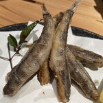 居酒家 駱駝 - メヒカリ
