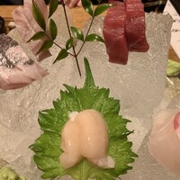銀平 北新地店 - 