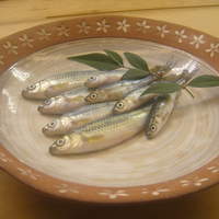 割烹 やました - モロコ