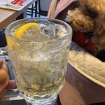 餃子酒場 たっちゃん - 檸檬フィズ　４２０円→２１０円（ハッピーアワー価格）