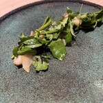 旨い肴と酒 ふるさと - 