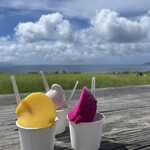 ミルミル本舗 本店 - 