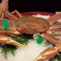無題 - 黄金の爪を持つ舞鶴かに