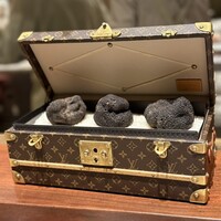 スガラボヴィー - 