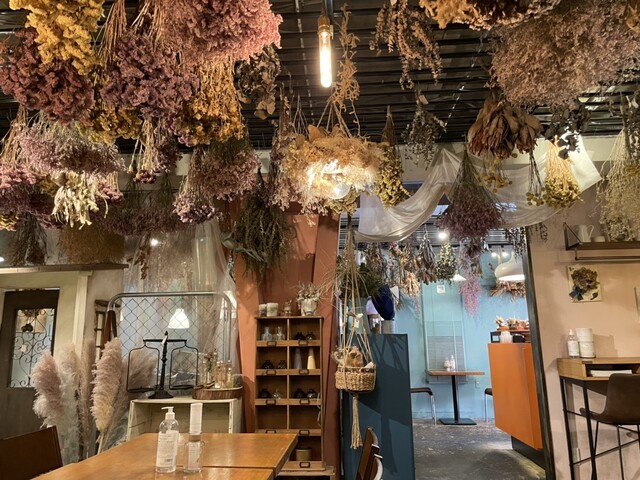 Lyrical coffee donut photo 5