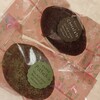 リトル・エンジェルズ 矢上店