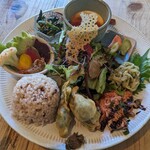 ハルクッチィ - 