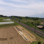 手打蕎麦眞 - デッキからの眺め