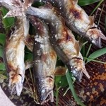 Yuusuge - 天然鮎の塩焼き