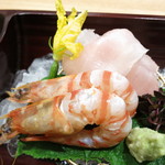 日本料理 太月 - 向付　境港産小豆ハタの造り　鹿児島県産巻海老の油〆め　花胡瓜　胡瓜の葉と小さな実