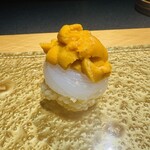 鮨shizuku 西天満 - アオリイカ(ウニのせ)(絶品です)