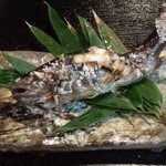 Yuusuge - 千曲川産岩魚の塩焼き