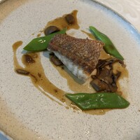 tcc GINZA - 