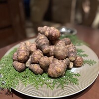 スガラボヴィー - 