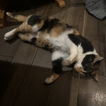 鹿教湯 三水館 - 