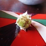 徳山鮓 - 岩梨アップ