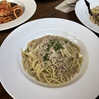 シャイニーアウル 表参道 - 