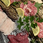 炉端あほう鳥 - 