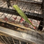 炭劇場 徳永座 - 