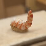 鮨 冨味 - 車えび