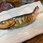 ヨコスカヒバチ - 鰯の炭火焼き！