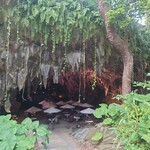 ガンガラーの谷　ケイブカフェ - 