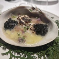 レフェルヴェソンス - 