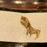 旬彩天 つちや - 