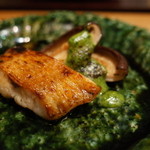 虎白 - 焼物 のど黒 椎茸 木の芽味噌