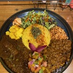 スパイスカリー ハルモニア - 