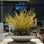 芦屋ベイコート倶楽部 ホテル&スパリゾート - 