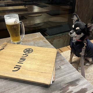 店内窓際席ペット同伴可能♡涼しい店内で一緒に飲めます！