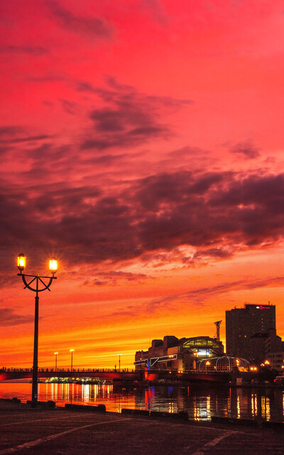 釧路港 - 釧路（居酒屋）の写真
