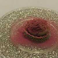 Maison DIA Mizuguchi - 