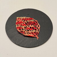 エディション・コウジ シモムラ - 