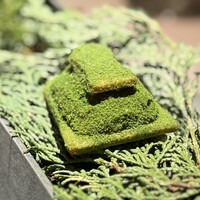 RiVi - 