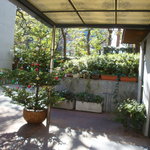 レストラン・パッション - お店は半地下状になっています。