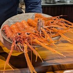 馳走西健一 - 活アカザエビ