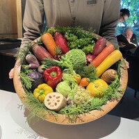 レフェルヴェソンス -  レフェルヴェソンス -