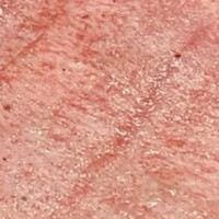 焼肉 黒田 -  焼肉 黒田 -