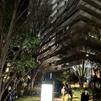 キャトルラパン - 