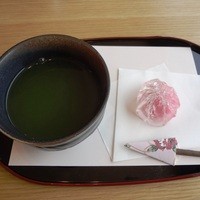 鎌倉 写経ができる おてらカフェ By Nekonokaze おてらcafe 鎌倉 カフェ 食べログ