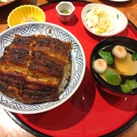 鰻う おか冨士 - うなぎ丼