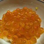 佐たけ - いくらのアップ